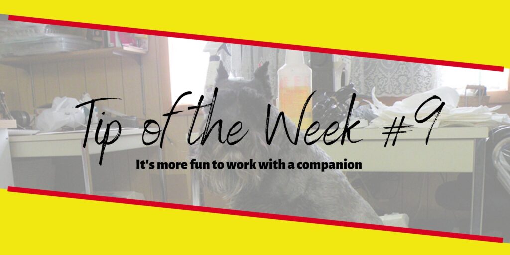 Tip of the week #9 It's more fun to work with a companion